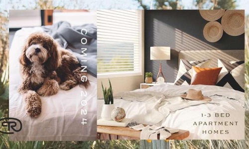 Your Pet-Friendly Apartment in San Marcos Is Waiting Cover Image