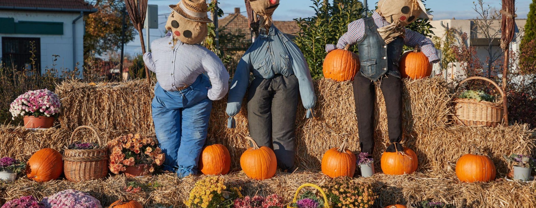 fall things to do in San Marcos TX near Pyland Ranch